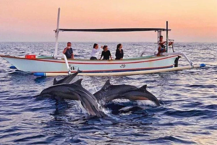 Dasa-Dolphin